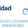 Oferta práctica extracurricular Cátedra de Innovación y Sostenibilidad Energética ENDESA Red